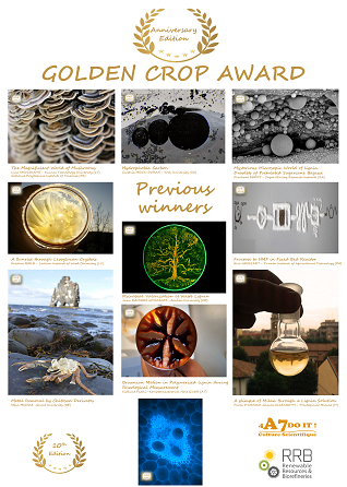 Golden Crop Award 10 editions